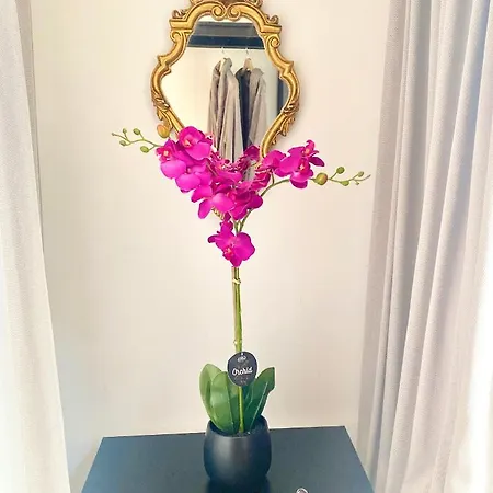 Bed & Breakfast The Flower